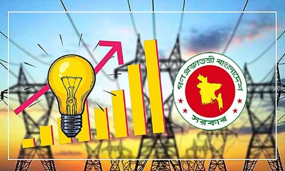 বিদ্যুত খাতে ঋণ দাঁড়িয়েছে ৪৭ হাজার কোটি টাকা